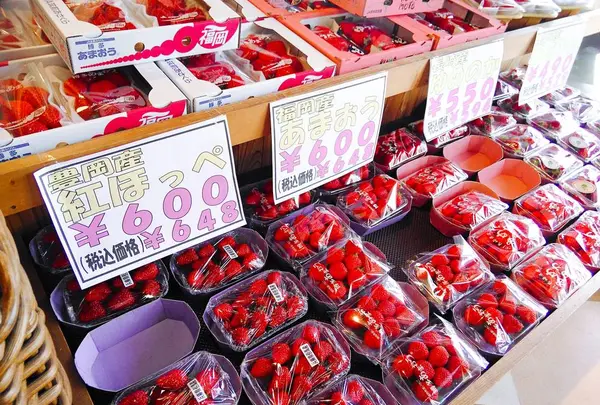 百果園の写真・動画_image_275711