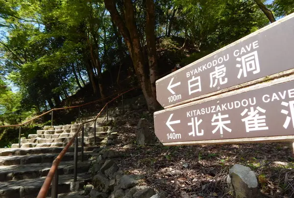玄武洞公園の写真・動画_image_275726
