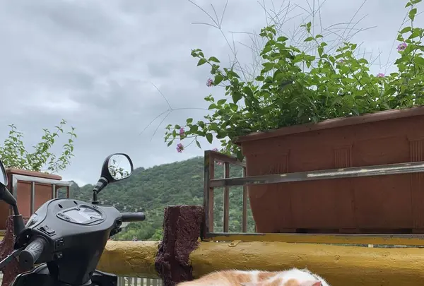 十分老街の写真・動画_image_275827