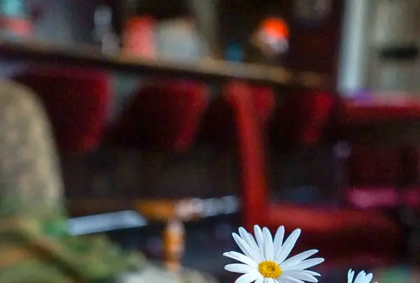 コーナーハウスの写真・動画_image_275844