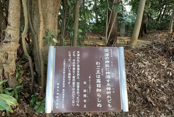 畝尾都多本神社の写真・動画_image_275888