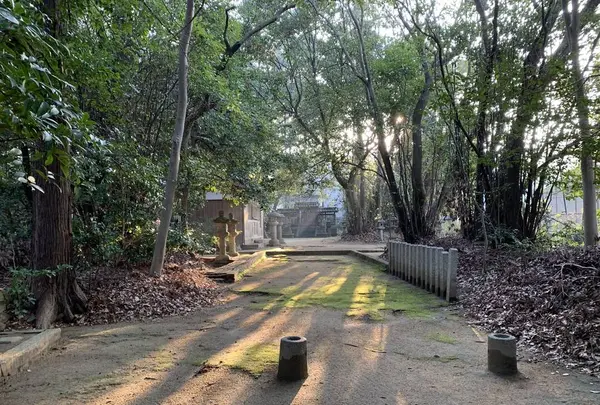畝尾都多本神社の写真・動画_image_275892