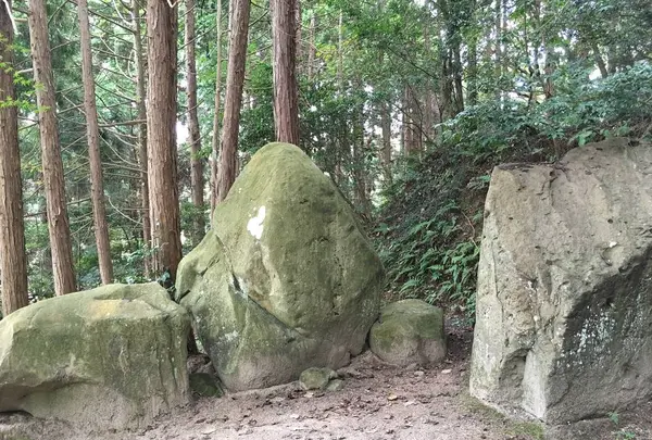 黄泉比良坂の写真・動画_image_276059