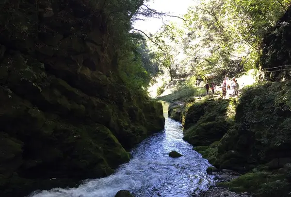 天安河原の写真・動画_image_276070