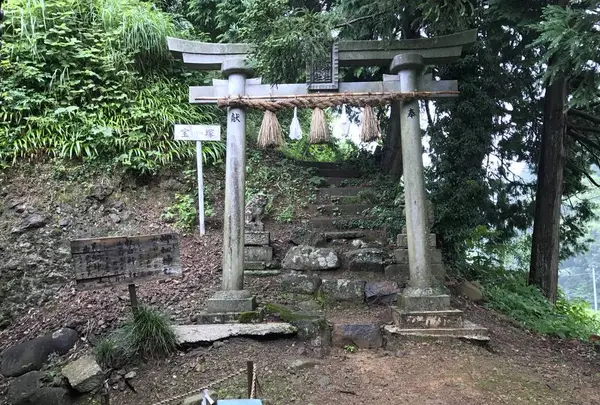 須我神社の写真・動画_image_276107