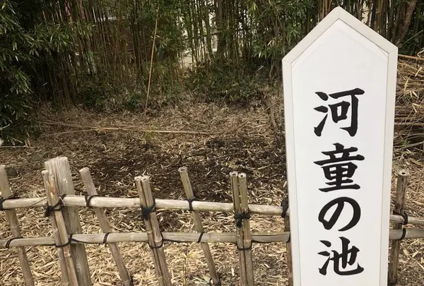 円応寺の写真・動画_image_276131