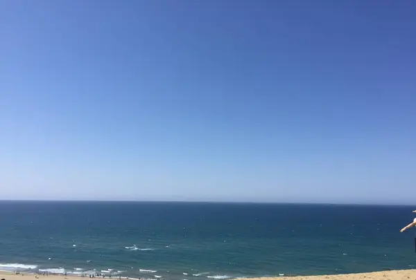 鳥取砂丘の写真・動画_image_276137