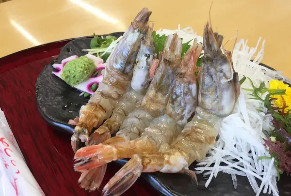 砂丘会館の写真・動画_image_276139