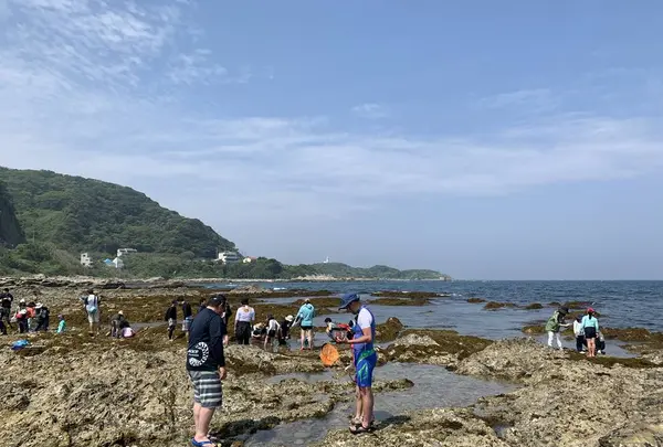 シークロップダイビングスクールの写真・動画_image_276400