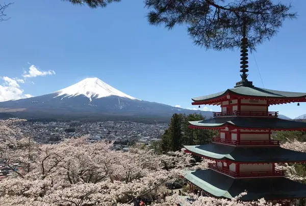 新倉山浅間公園の写真・動画_image_276410
