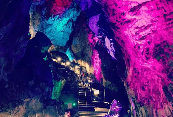 日原鍾乳洞の写真・動画_image_276456