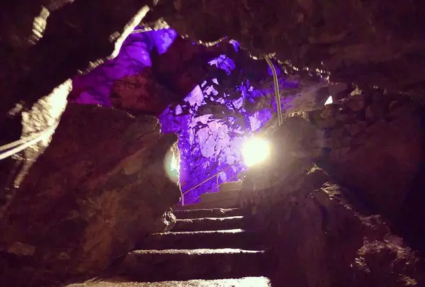 日原鍾乳洞の写真・動画_image_276457