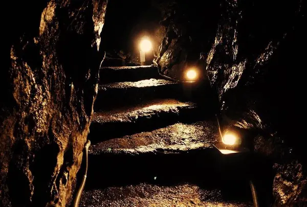 日原鍾乳洞の写真・動画_image_276458