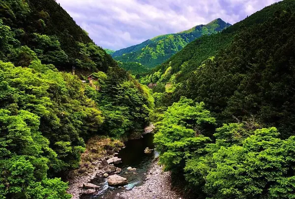 もえぎ橋の写真・動画_image_276460