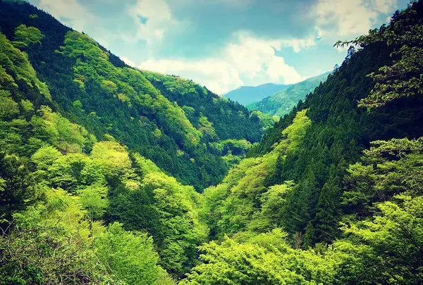 日原鍾乳洞の写真・動画_image_276467