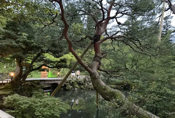兼六園の写真・動画_image_276728