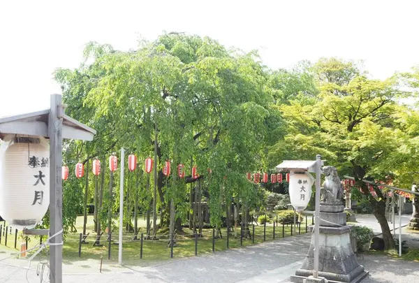 足羽神社の写真・動画_image_276790