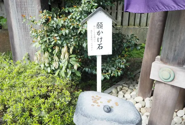 毛谷黒龍神社の写真・動画_image_276792