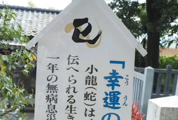 毛谷黒龍神社の写真・動画_image_276793