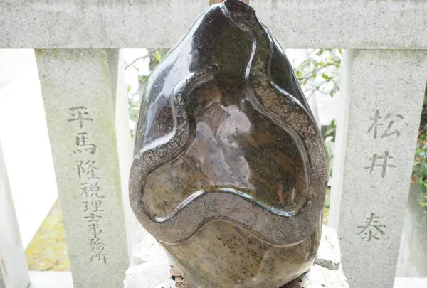 毛谷黒龍神社の写真・動画_image_276795