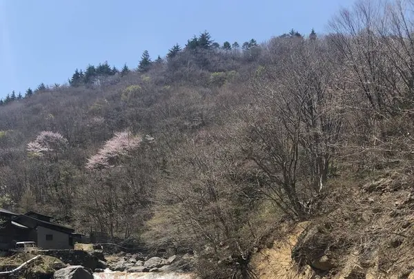 滑川大滝の写真・動画_image_276853