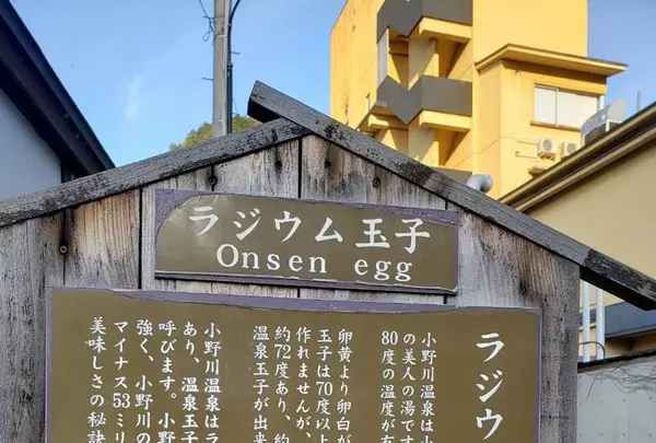 小野川温泉の写真・動画_image_276857