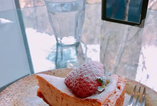 カフェ 崖の上の写真・動画_image_277047