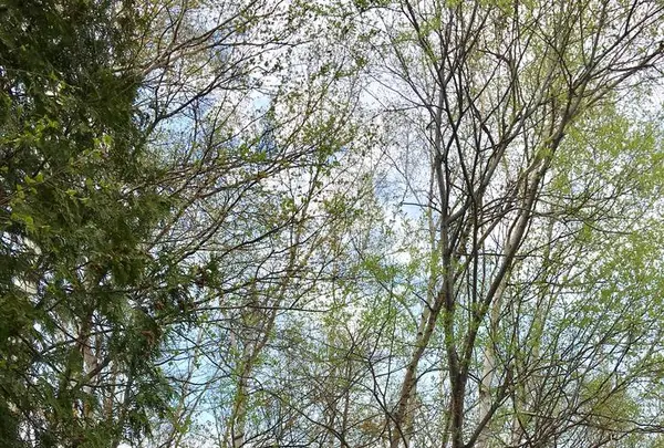 雨ノ日と雪ノ日の写真・動画_image_277125