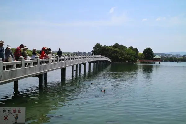 大濠公園の写真・動画_image_277269