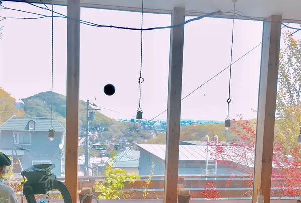 円山CAFE サカノウエの写真・動画_image_277307