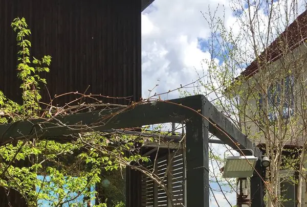 円山CAFE サカノウエの写真・動画_image_277311