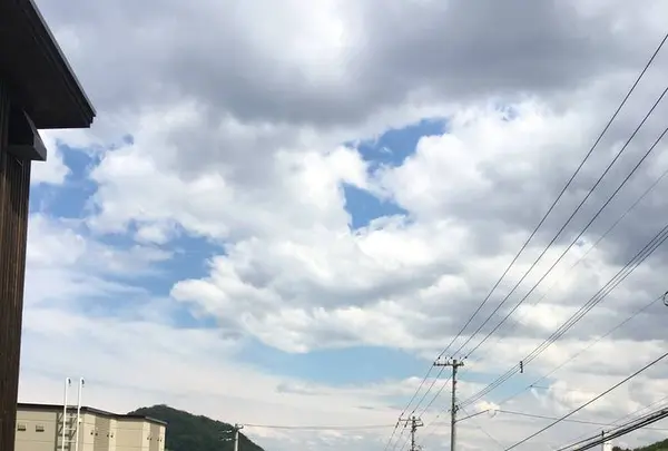 円山CAFE サカノウエの写真・動画_image_277313