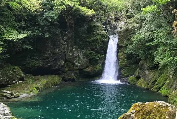 にこ淵の写真・動画_image_277390