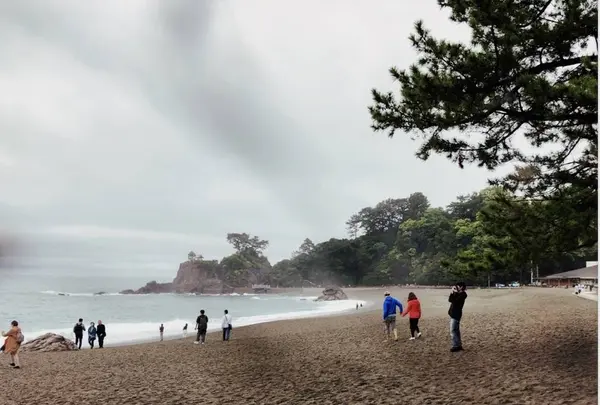 桂浜の写真・動画_image_277393