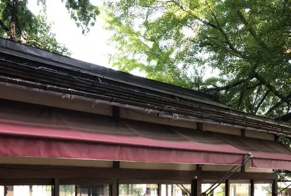 熊野大社の写真・動画_image_277425