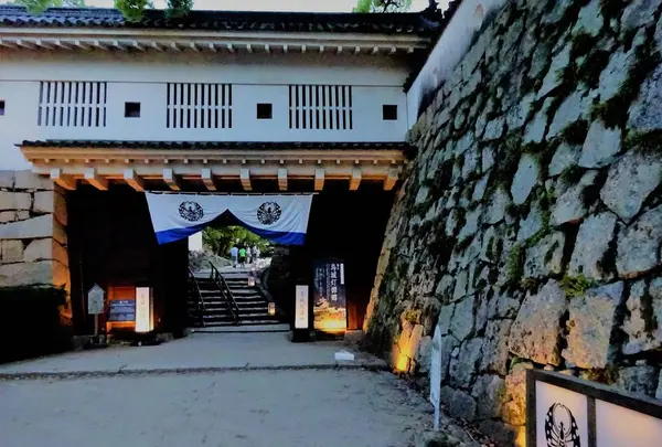 岡山城の写真・動画_image_277552