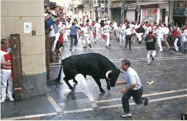 パンプローナの写真・動画_image_277588