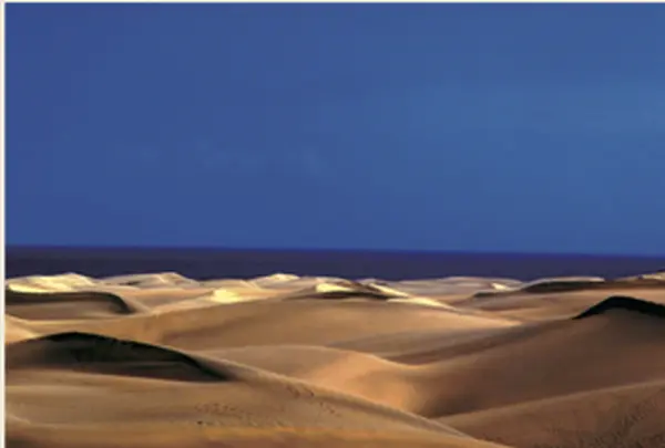 グラン・カナリア島の写真・動画_image_277607