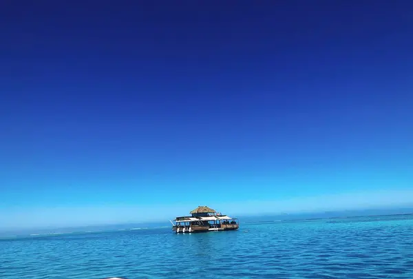 cloud9の写真・動画_image_277716