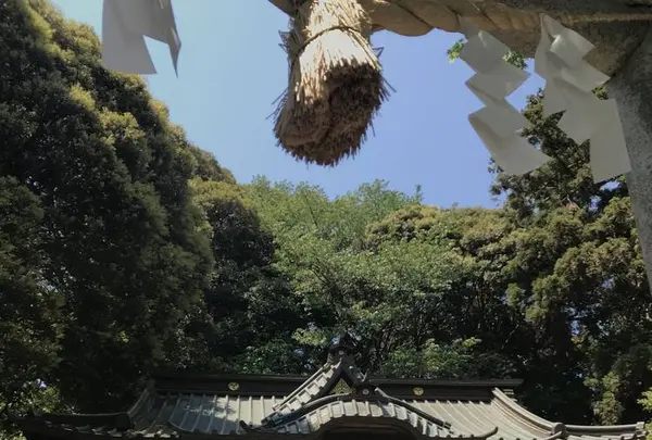 大甕神社（大甕倭文神社）の写真・動画_image_277811