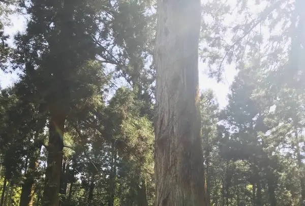 御岩神社の写真・動画_image_277822