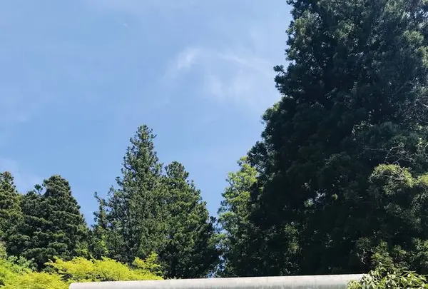 御岩神社の写真・動画_image_277823