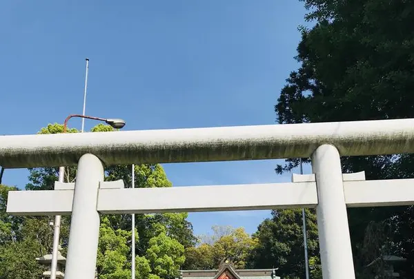 助川鹿嶋神社の写真・動画_image_277913