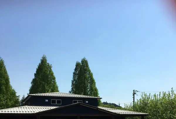 大地のレストランの写真・動画_image_278130