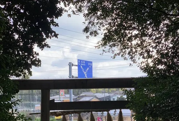 佐那神社の写真・動画_image_278342