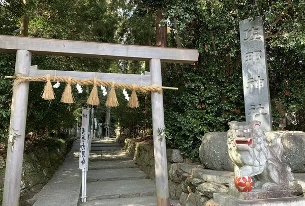 佐那神社の写真・動画_image_278345