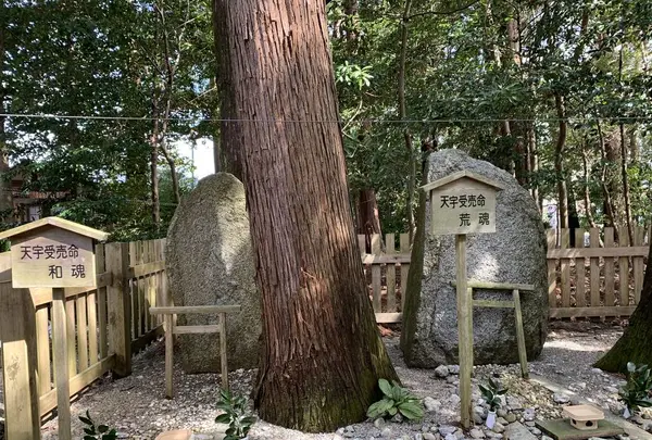 佐那神社の写真・動画_image_278348