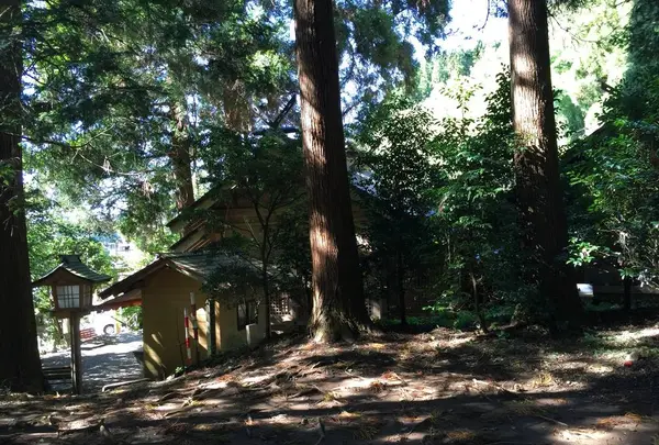 荒立神社の写真・動画_image_278375