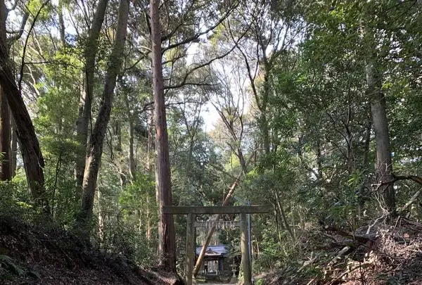阿射加神社（大阿坂）の写真・動画_image_278377