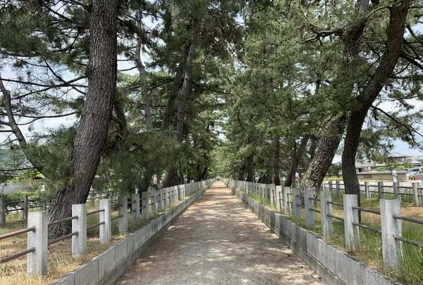 法隆寺の写真・動画_image_278966